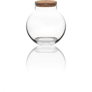 Fotografia szkła – SOLBIKA